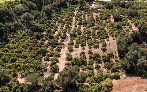 5158 Foothill Rd, Santa Barbara, CA 93013 photo 21