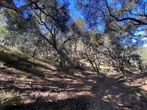 5930 Santa Rosa Rd, Lompoc, CA 93436 photo 36