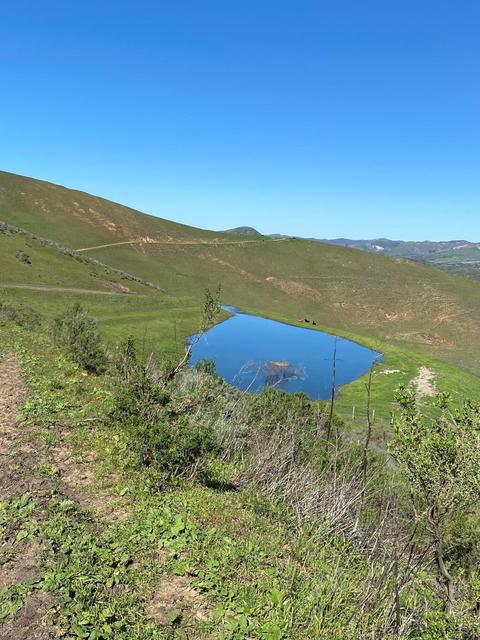 5930 Santa Rosa Rd, Lompoc, CA 93436 photo 47