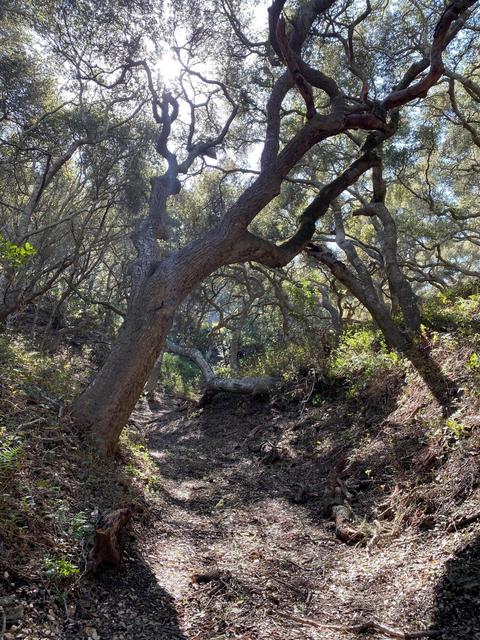 5930 Santa Rosa Rd, Lompoc, CA 93436 photo 27