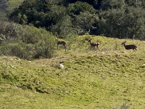 5930 Santa Rosa Rd, Lompoc, CA 93436 photo 20