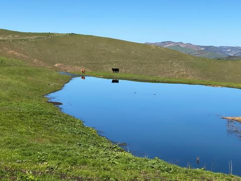 5930 Santa Rosa Rd, Lompoc, CA 93436 photo 39