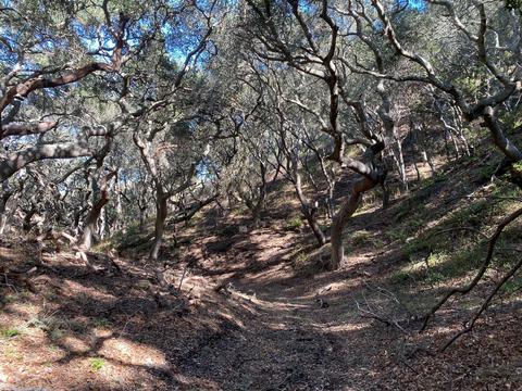 5930 Santa Rosa Rd, Lompoc, CA 93436 photo 48