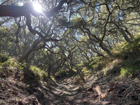 5930 Santa Rosa Rd, Lompoc, CA 93436 photo 35