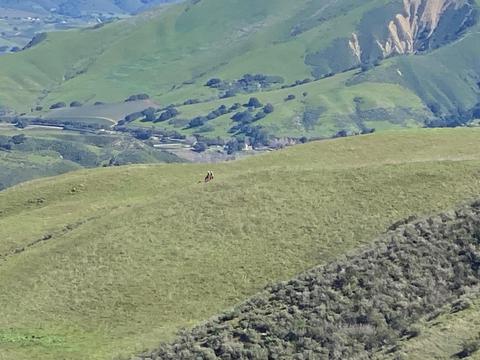 5930 Santa Rosa Rd, Lompoc, CA 93436 photo 29