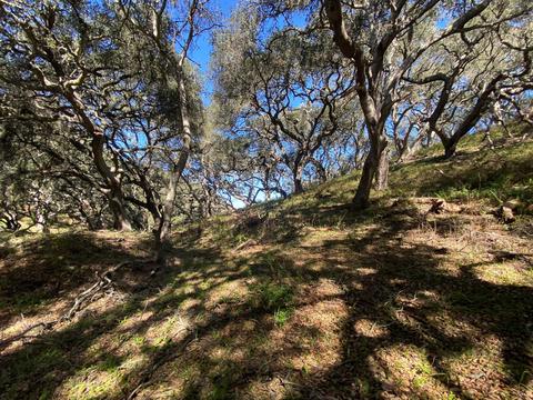 5930 Santa Rosa Rd, Lompoc, CA 93436 photo 17