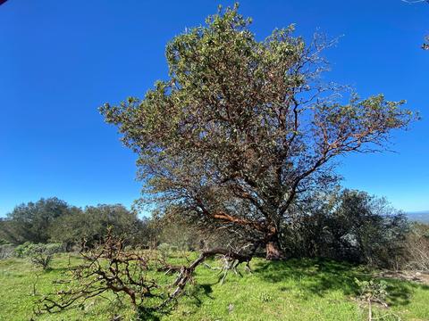 5930 Santa Rosa Rd, Lompoc, CA 93436 photo 28