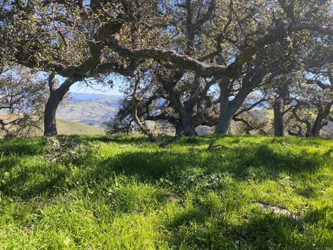 5930 Santa Rosa Rd, Lompoc, CA 93436 photo 43