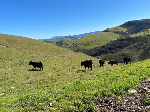 5930 Santa Rosa Rd, Lompoc, CA 93436 photo 23