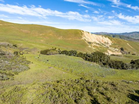 5930 Santa Rosa Rd, Lompoc, CA 93436 photo 62
