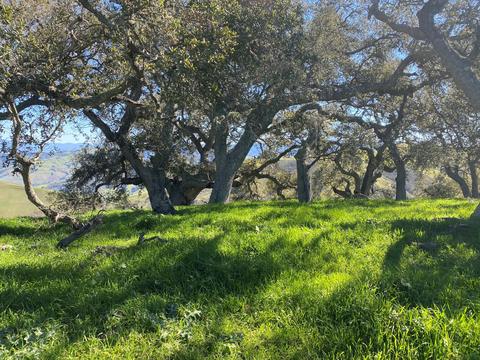 5930 Santa Rosa Rd, Lompoc, CA 93436 photo 44