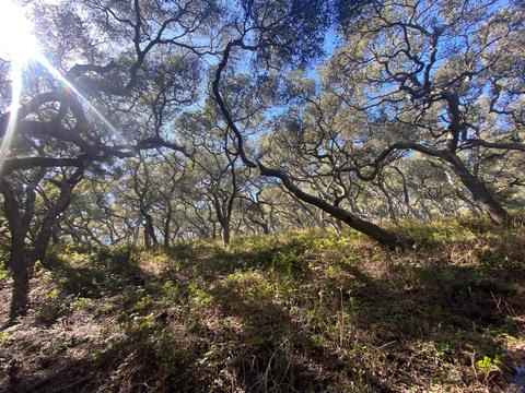 5930 Santa Rosa Rd, Lompoc, CA 93436 photo 37