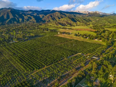 View/Area - 417 Mcandrew Rd, Ojai, CA 93023 photo 10 of 13