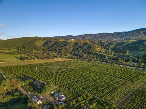 View/Area - 417 Mcandrew Rd, Ojai, CA 93023 photo 8 of 13