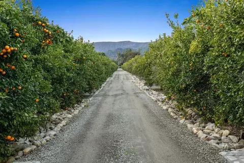 View/Area - 417 Mcandrew Rd, Ojai, CA 93023 photo 13 of 13