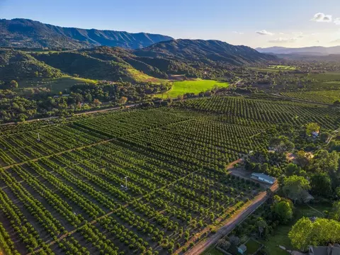 View/Area - 417 Mcandrew Rd, Ojai, CA 93023 photo 11 of 13