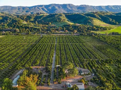 View/Area - 417 Mcandrew Rd, Ojai, CA 93023 photo 7 of 13