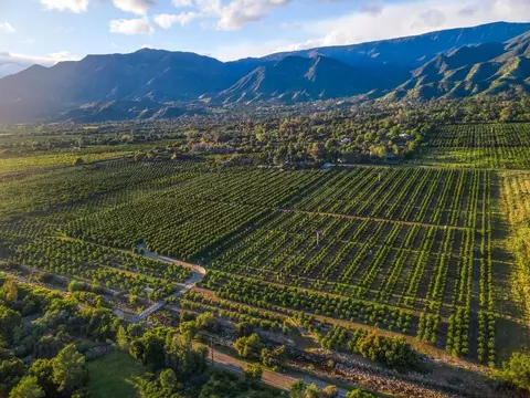 View/Area - 417 Mcandrew Rd, Ojai, CA 93023 photo 3 of 13