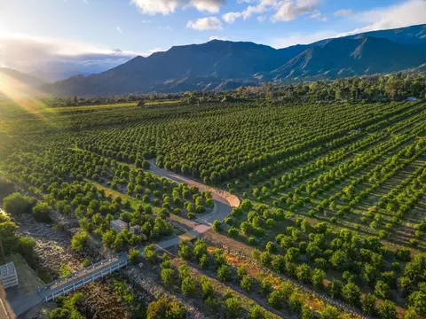 View/Area - 417 Mcandrew Rd, Ojai, CA 93023 photo 4 of 13