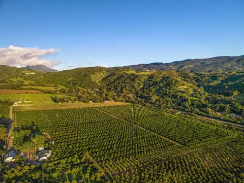 417 Mcandrew Rd, Ojai, CA 93023