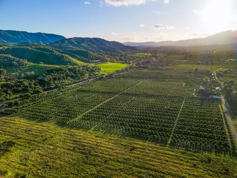 View/Area - 417 Mcandrew Rd, Ojai, CA 93023 photo 9 of 13