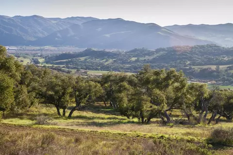 0 Cougar Ridge Rd, Buellton, CA 93427