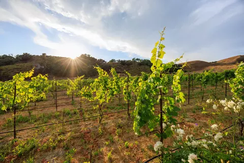 5425 Campbell Rd, Lompoc, CA 93436 photo 45