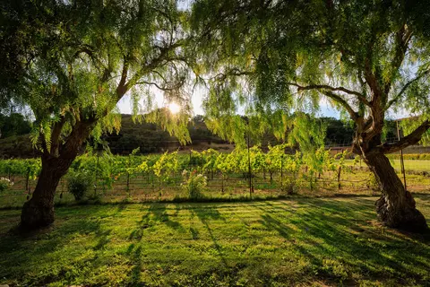 5425 Campbell Rd, Lompoc, CA 93436 photo 44