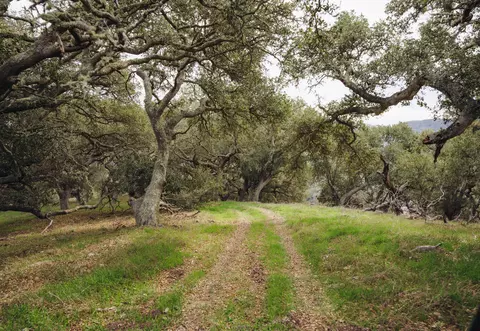 3625 Jalama Rd, Lompoc, CA 93436 photo 28