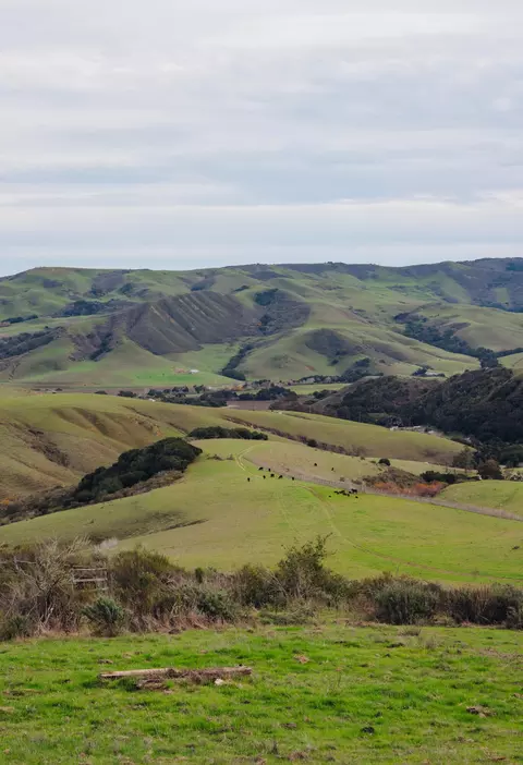 3625 Jalama Rd, Lompoc, CA 93436 photo 30