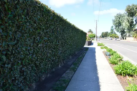 Exterior - 222 W Chestnut Ave, Lompoc, CA 93436 photo 11 of 11