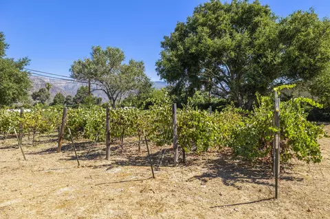 202 Boardman Rd, Ojai, CA 93023 photo 34