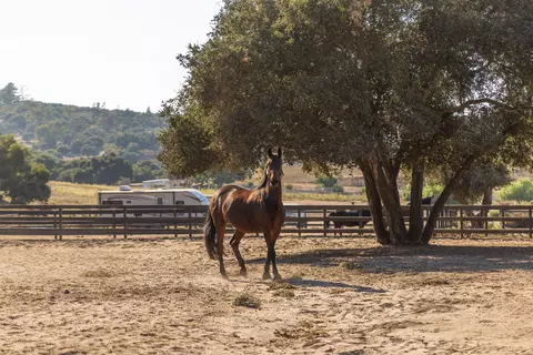 Exterior - 2714 Cebada Canyon Rd, Lompoc, CA 93436 photo 11 of 11