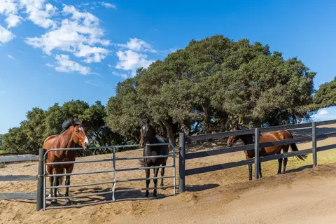 Other - 2714 Cebada Canyon Rd, Lompoc, CA 93436 photo 1 of 13