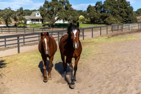 Other - 2714 Cebada Canyon Rd, Lompoc, CA 93436 photo 2 of 13