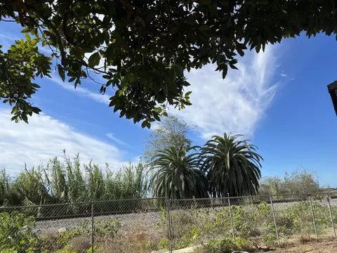 910 Pear St, Carpinteria, CA 93013 photo 4