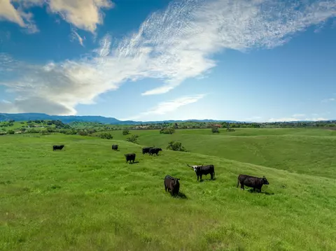 1625 Alisos Rd, Santa Ynez, CA 93460