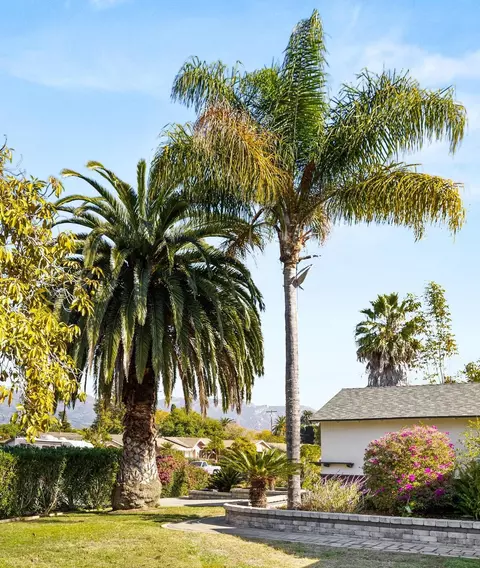 Exterior - 6283 Guava Ave, Goleta, CA 93117 photo 7 of 7