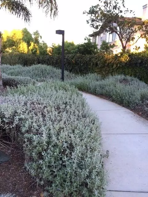 Exterior - 6871 Shadowbrook Dr, Goleta, CA 93117 photo 11 of 13