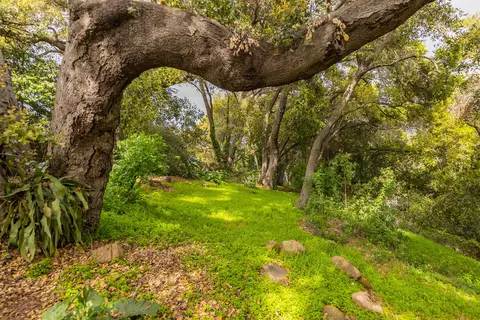 Other - 910 Spring St, Oak View, CA 93022 photo 8 of 9