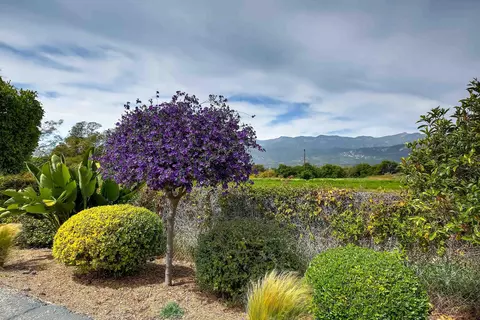 Exterior - 5966 Birch St #2, Carpinteria, CA 93013 photo 6 of 8