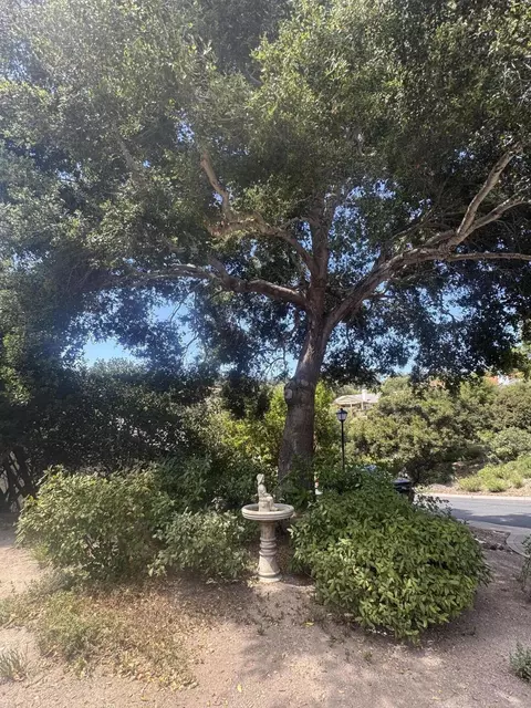 648 Hillside Dr, Solvang, CA 93463 photo 19