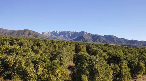 1797 N Foothill Rd, Ojai, CA 93023 photo 14