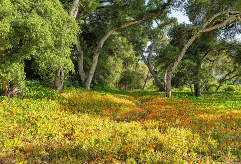 Other - 500 Eastgate Ln, Montecito, CA 93108 photo 2 of 4