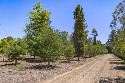 Other - 1048 E La Loma Ave, Somis, CA 93066 photo 6 of 10