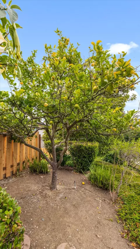 Exterior - 409 Northgate Dr #A, Goleta, CA 93117 photo 4 of 11