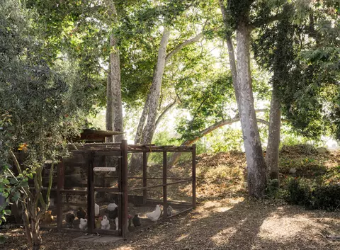 Exterior - 38803882 Foothill Rd, Carpinteria, CA 93013 photo 8 of 9