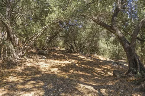 Exterior - 2139 Mcnell Rd, Ojai, CA 93023 photo 25 of 29