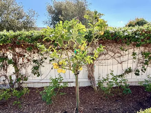 Exterior - 100 Gerard Dr, Goleta, CA 93117 photo 6 of 10