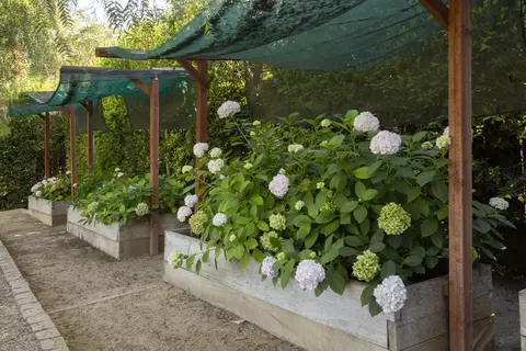 Exterior - 1190 Garden Ln, Montecito, CA 93108 photo 9 of 10